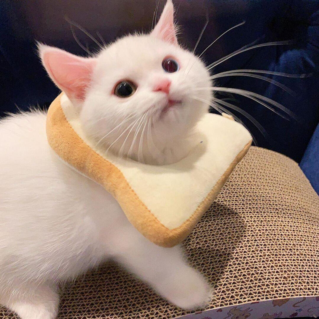 JayRoy Zine Banner, the Bullets & Arrows title is above a composite logo made of Jason's and Roy's symbols a bat and arrow in red with a shade gradient of yellow. In the background a bow and two guns in white over a city skyline in gradient of orange to pi